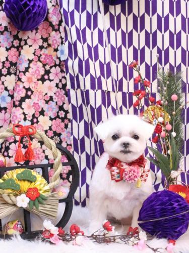 20250126マルちゃん